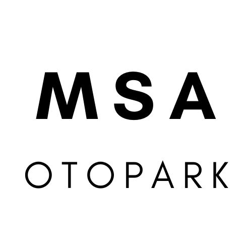TAKSİM SOFITEL OTEL  OTOPARKI logo
